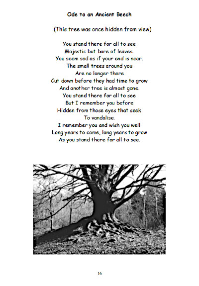 Poetry and Prose Page 16