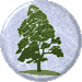 Alder