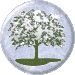 Blackthorn