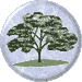 Elder
