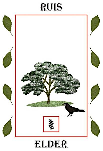 Elder