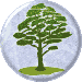 Hawthorn