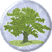 Oak