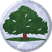 Yew